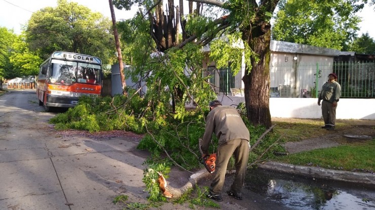 Inmediato accionar del Municipio luego del temporal